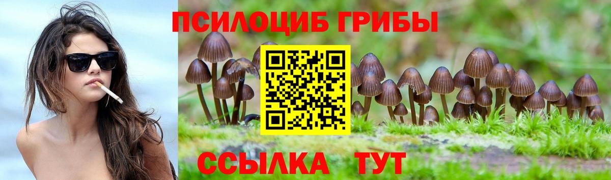 сколько стоит  Вход с VPN  Новоалександровск  Псилоцибиновые грибы MAGIC MUSHROOMS 